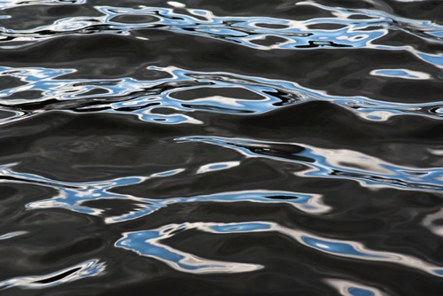 Water Detail, Upland Pond, Sussex County, NJ 09 07 (6918SA).jpg